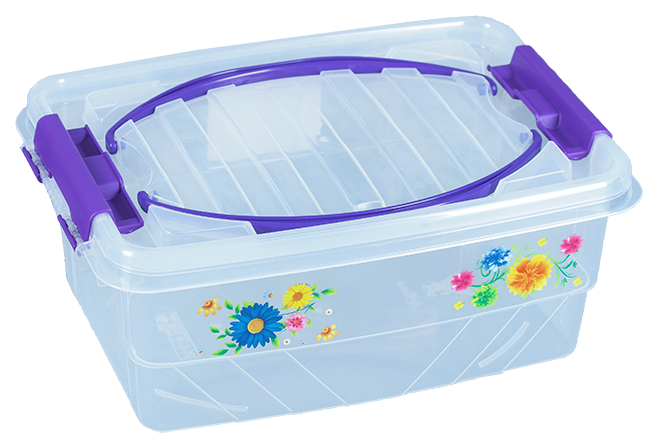 Мультибокс "Пикник" 5л