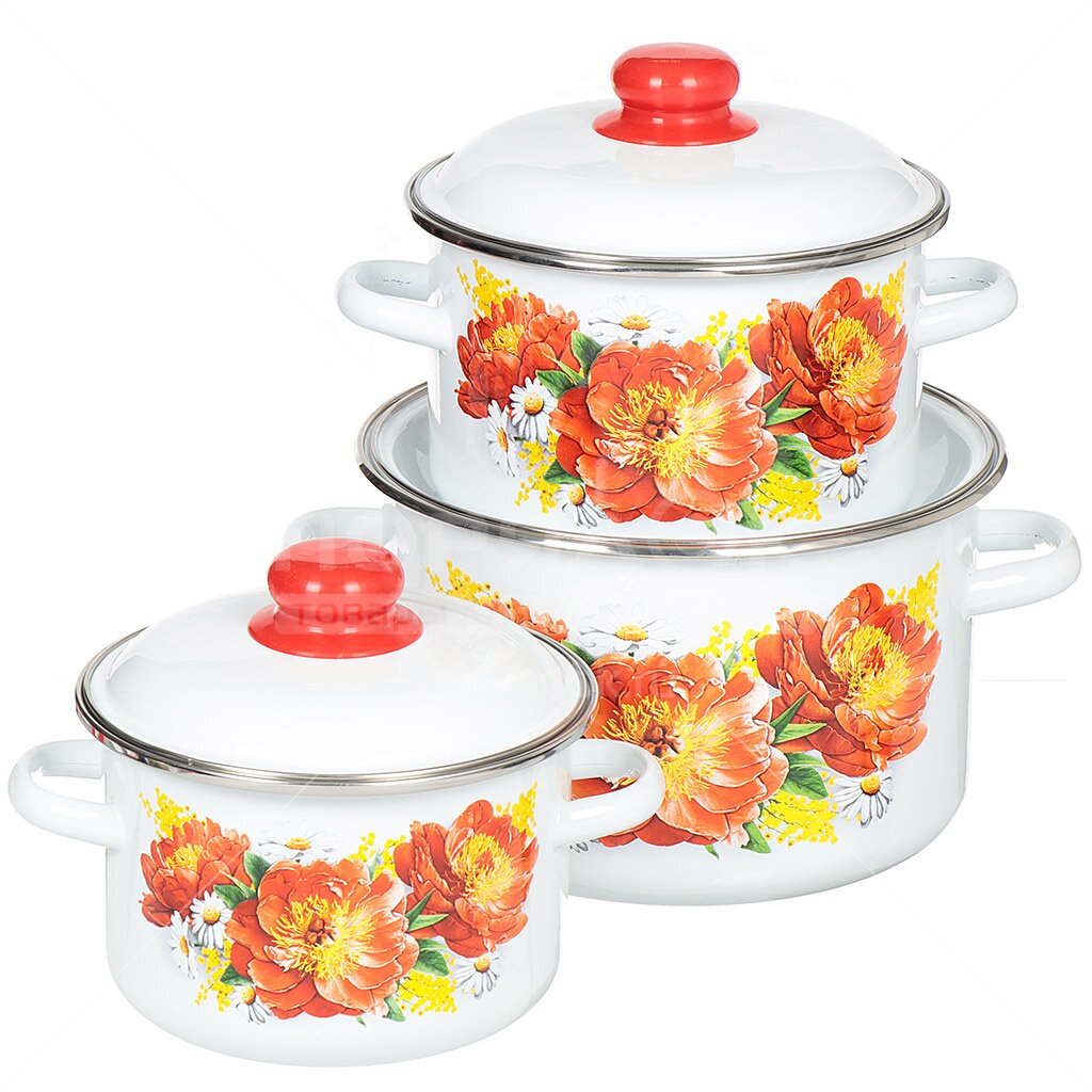 Набор эмал №19 Пионы 1КВ191М